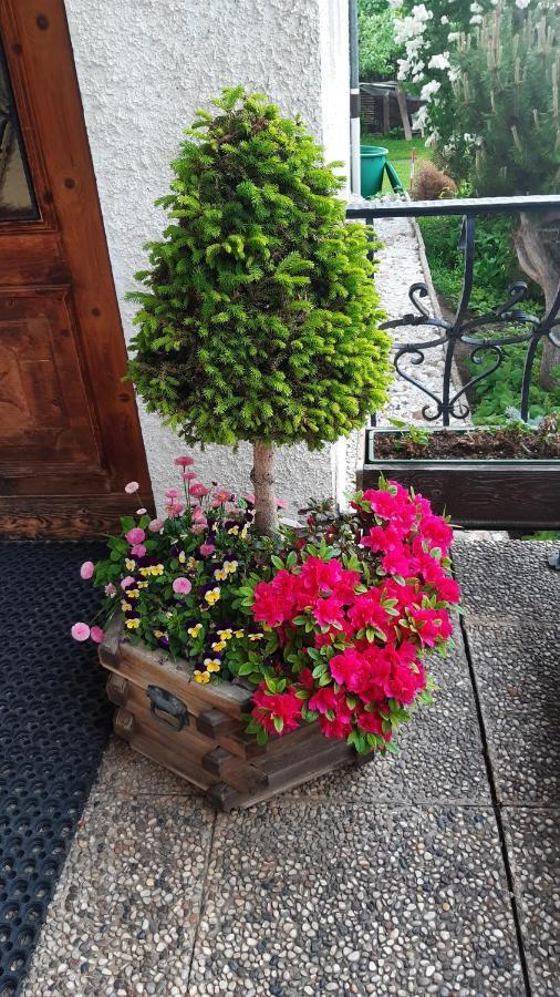 App Brunner Apartamento Olang Exterior foto